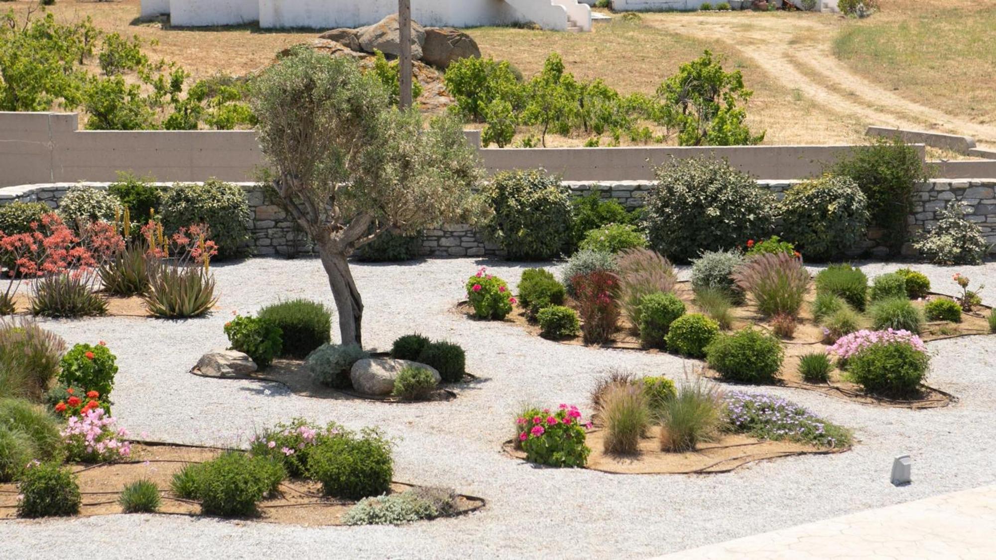 Olives&Rocks Naxian Villas Agia Anna  Exteriör bild